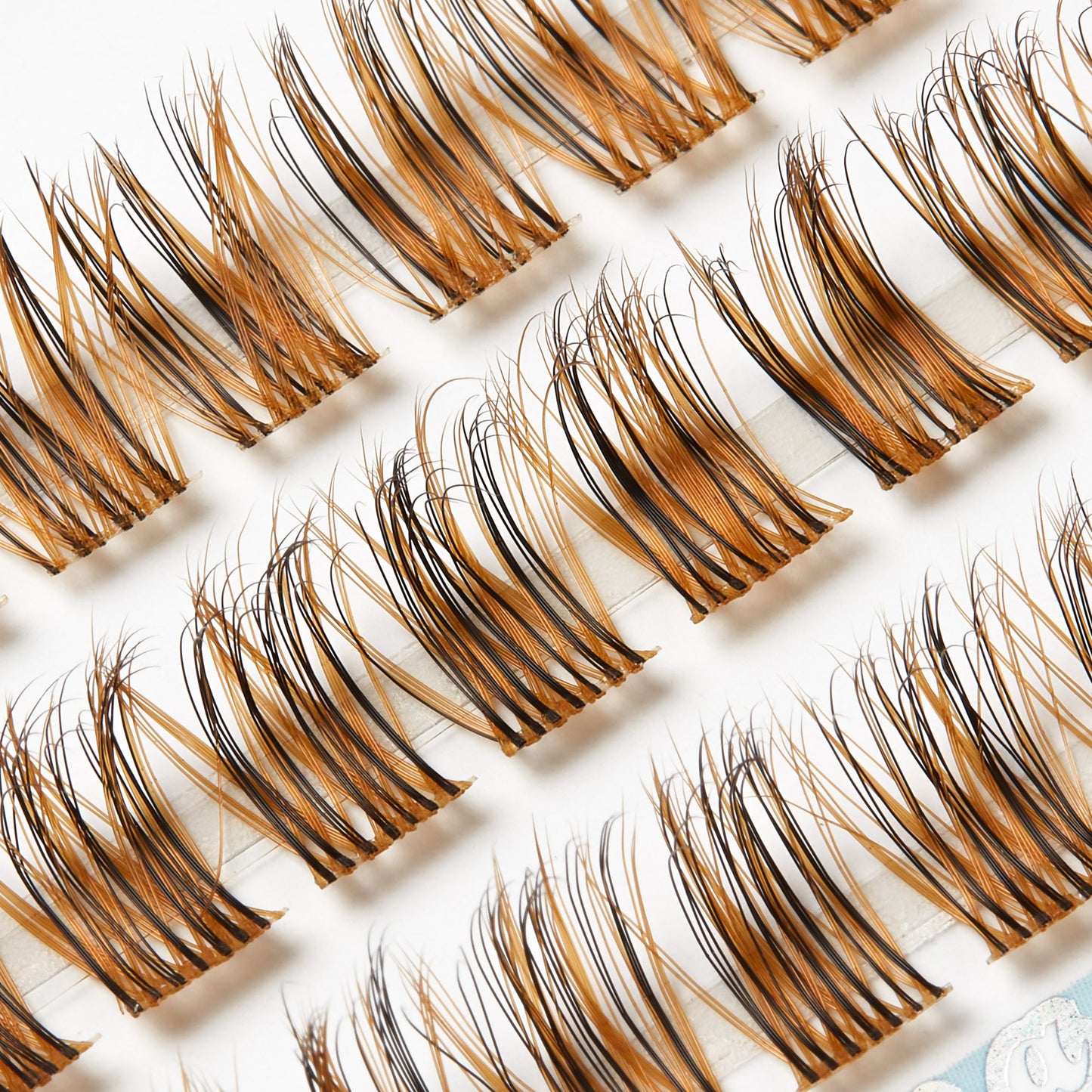 Boujee Cluster Lash Tray #Toffee Temptation