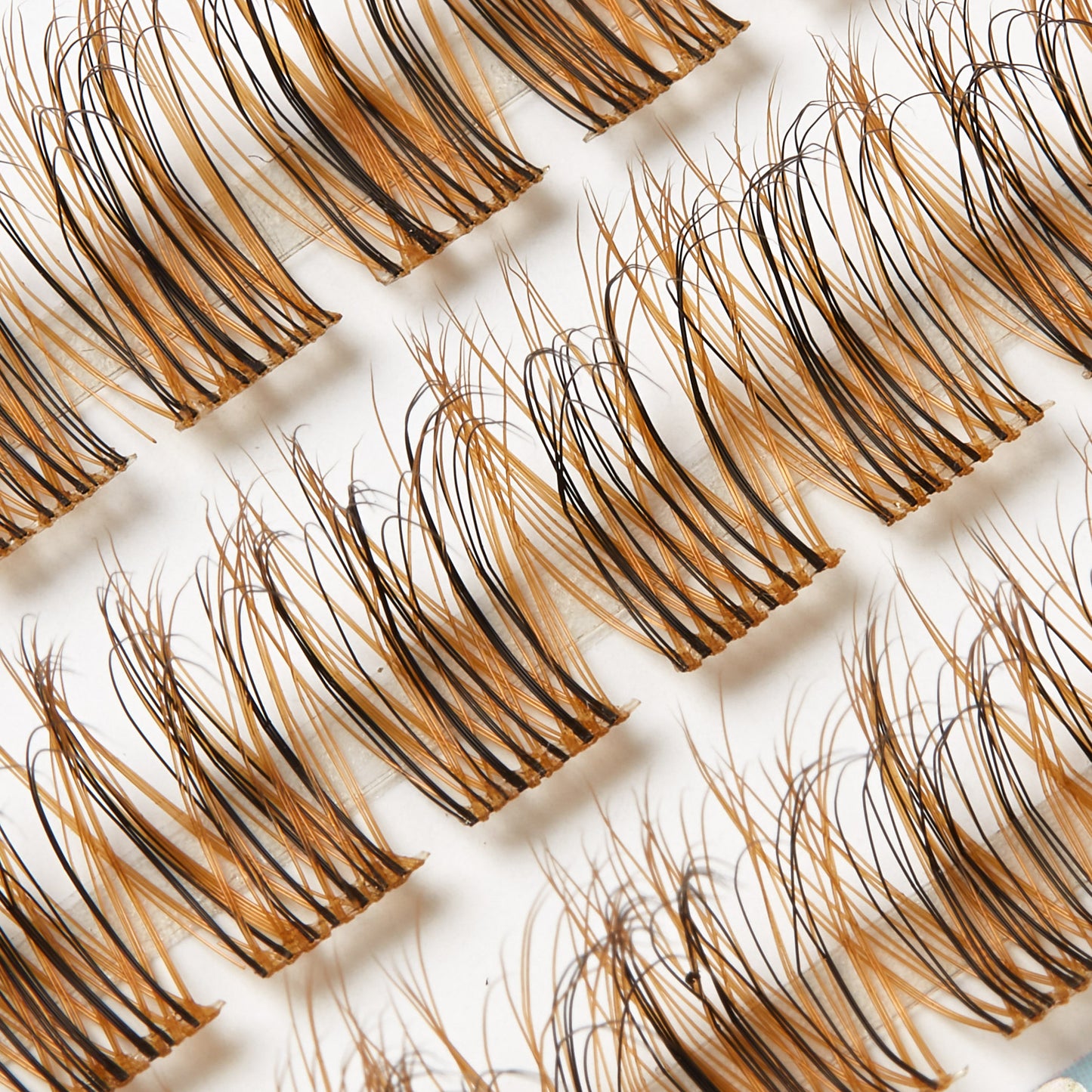 Boujee Cluster Lash Tray #Toffee Temptation