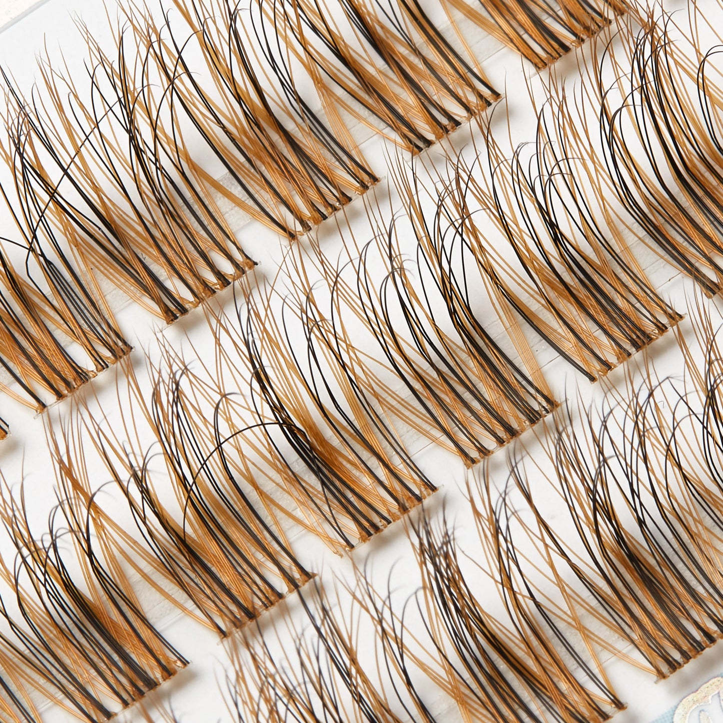 Boujee Cluster Lash Tray #Toffee Temptation