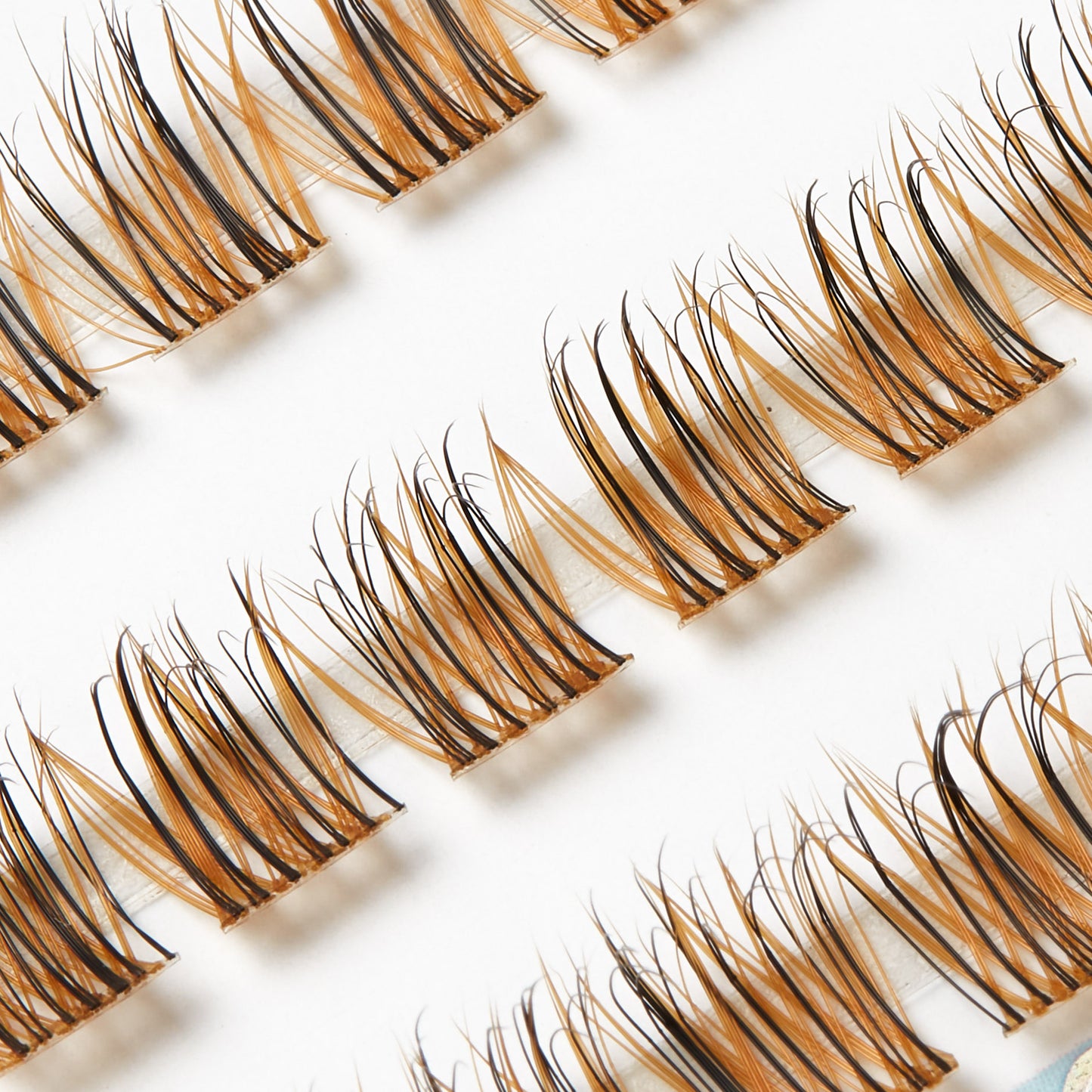 Boujee Cluster Lash Tray #Toffee Temptation